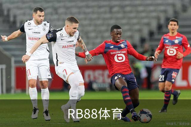 RB88体育公司简介